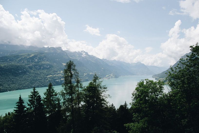 Uitzicht over het blauwe water van de Brienzersee in Berner Oberland, Zwitserland van Evelien Lodewijks
