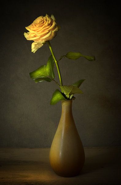 Gelbe Rose von Koos Hageraats