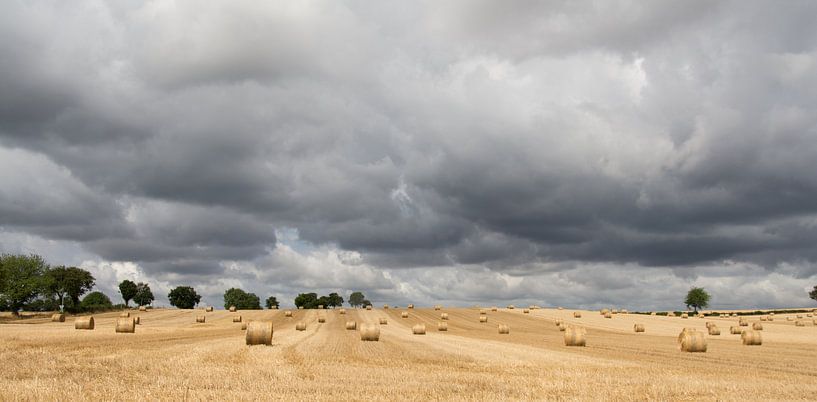 Donkere luchten  boven rollen stro  van Ooks Doggenaar