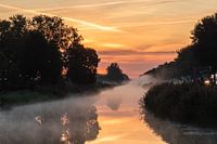 goldene Linge