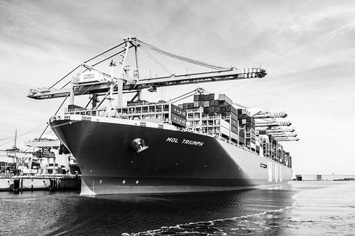 MOL Triumph containerschip in zwartwit