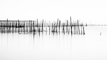 Laguna d' Albufera in Spain by Truus Nijland