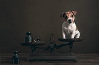 Jack Russel puppy by Elles Rijsdijk thumbnail