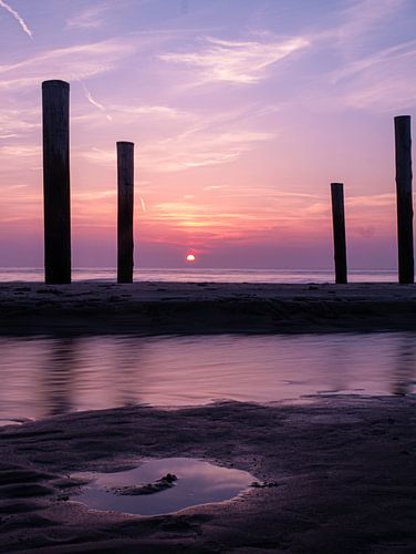 Les pôles à Petten