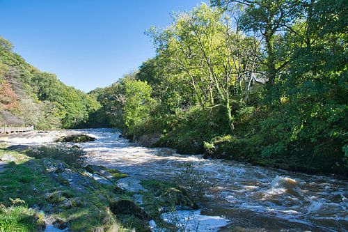 De wilde rivier de Teifi