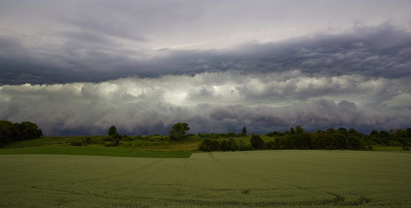 shelfcloud 4 van Francois Debets