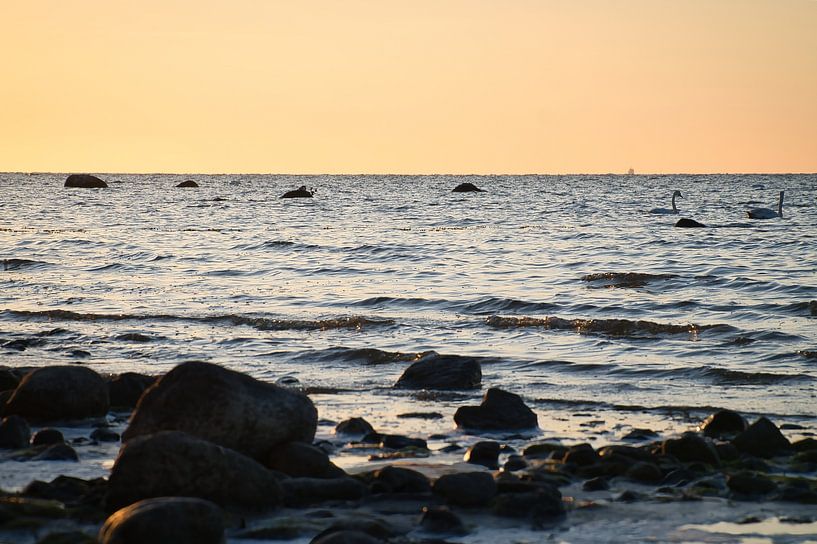 Sunset on the beach of Poel, romantic by Martin Köbsch