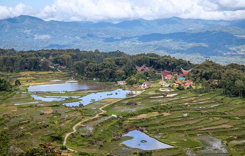 Uitzicht over de Tojaraland.