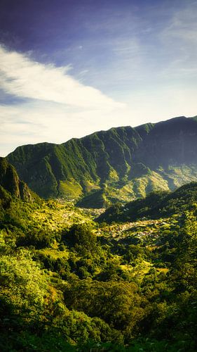Jungle verte avec chutes d'eau