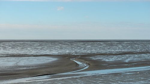 Wadvlakte bij Vollerwiek, Duitsland 1