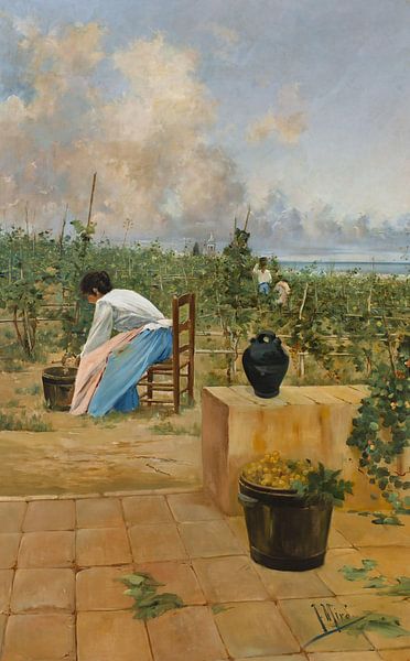 Joaquim de Miró y Argenter-Ernte von Malvasia von finemasterpiece