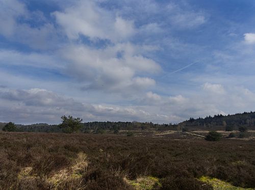 Hooge Veluwe