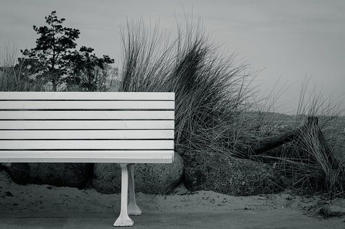 The white bench