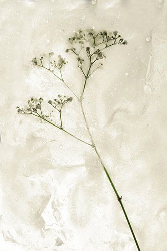 Blumen getötet 3
