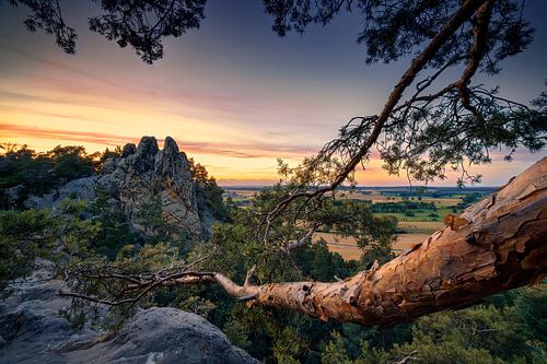Landschap in de Harz bij zonsondergang