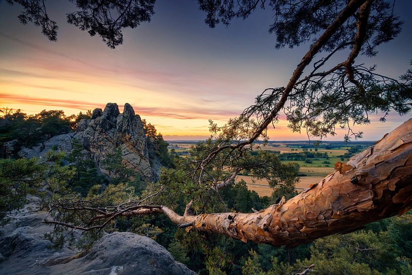 Landscape in the Harz Mountains at sunset by Voss photography