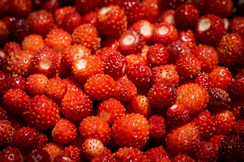 Gros plan plein cadre d'un tas de fraises sauvages rouges fraîches et mûres. par Robert Ruidl