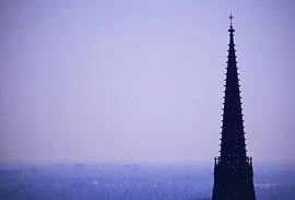 Hoch hinaus von Nadine Gutmann