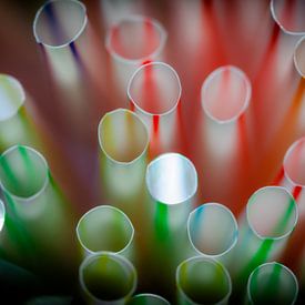 Soulmates van Jan van der Knaap