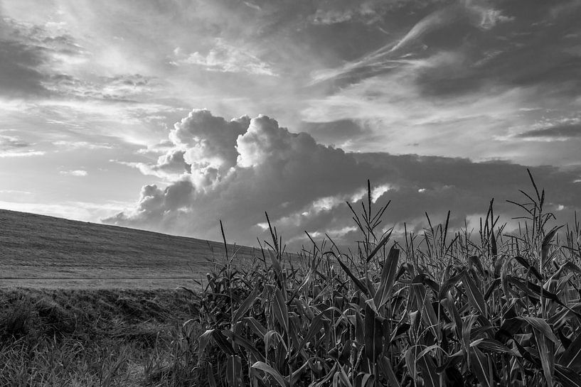 Am Deich by Rolf Pötsch