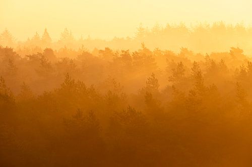 Zonsopkomst in de mist van André Dorst