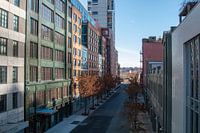 Urban New York