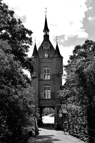 Vianen Utrecht Binnenstad Zwart Wit