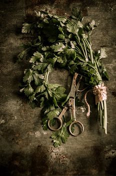 Keukenkunst - Kitchen art - Küchenkunst -  Art de la cuisine