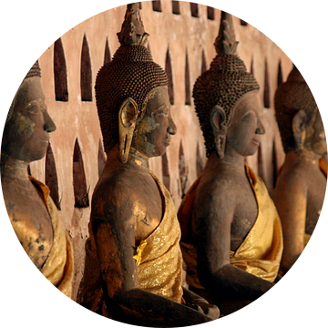 Boeddha standbeelden van Gert-Jan Siesling