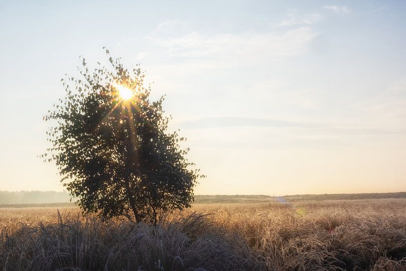 Lever du soleil par Maarten Kooij