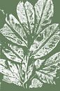 White leaves  in retro style. Modern botanical minimalist art in white and green by Dina Dankers thumbnail
