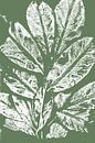 Witte bladeren in retro stijl. Moderne botanische minimalistische kunst in wit en groen van Dina Dankers thumbnail