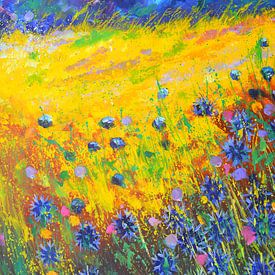 Summer wild flowers by pol ledent