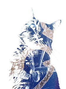 Kattenkunst - Diva 6
