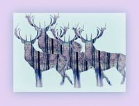 Deer Show