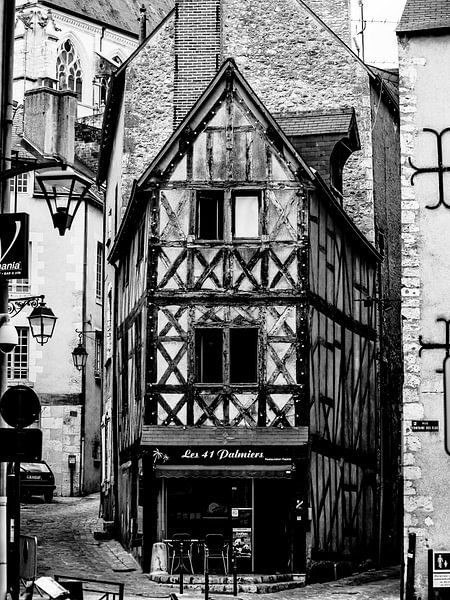 LES 41 PALMIERS par JORG BECKER