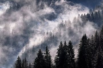 Neujahrstag von Matthias Luescher