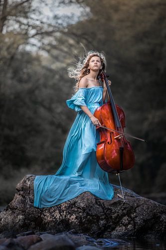 cello