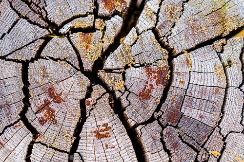 Haut de la tête du poteau