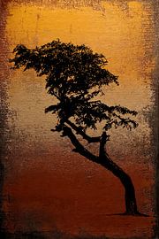 Wabi-Sabi: Minimalistischer Baum vor strukturiertem Hintergrund in warmen Erdtönen von Studio Pieternel