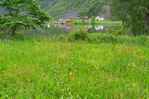 Zomerochtend in Sandvin, Vestland, Noorwegen