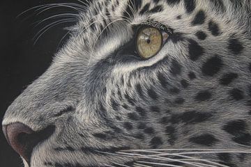 Leopard im Goldenen Fokus von Eva Lee