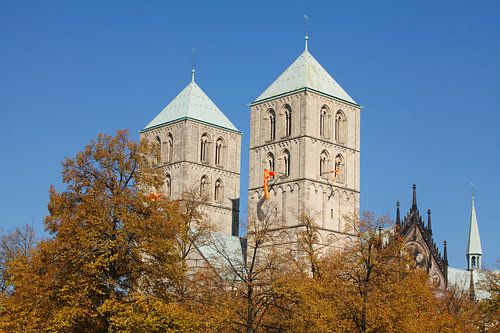 Münster in Westfalen : St.Paulus-Dom, Domplatz  I Church St.Paulus-Dom, M�nster in Westphalia , Nort