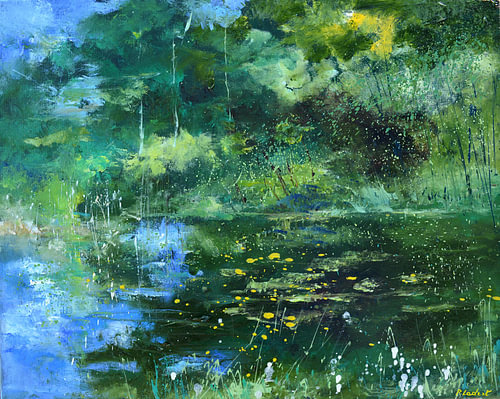 L’'’ étang de mon jardin