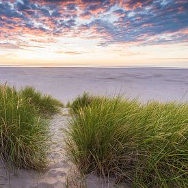 Les dunes de Texel sur Max ter Burg Fotografie