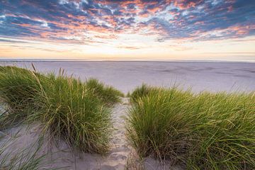 De Texelse duinen van Max ter Burg Fotografie