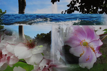 Flowers under the sea