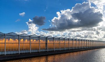 Donkere wolken boven de kassen.