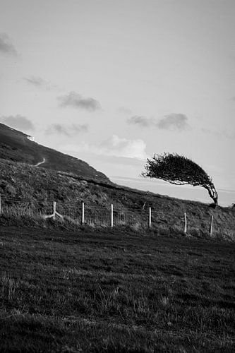 Vereinigtes Königreich | Seven Sisters Country Park