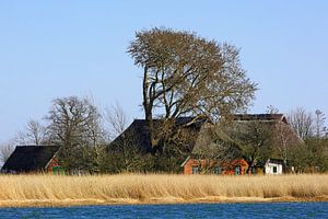 Barnstorf - Leben am Bodden - Ostsee